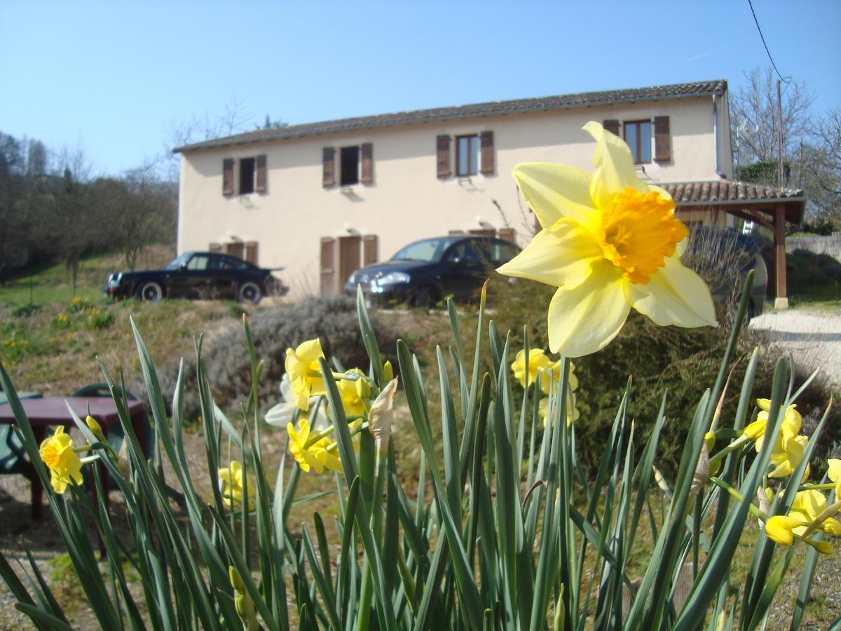 Hotel Le Relais Du Chateau Grignols  Exterior photo